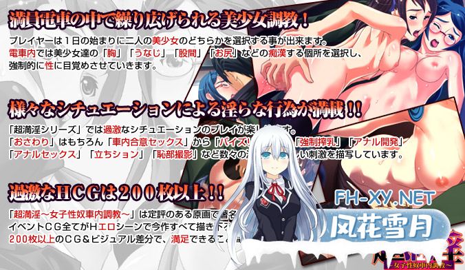 [拔作ADV/汉化]超满淫～女子性奴车内调教 AI汉化版+全CG存档[新汉化][260M]